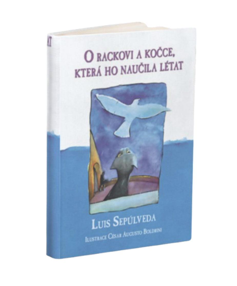 Kniha
